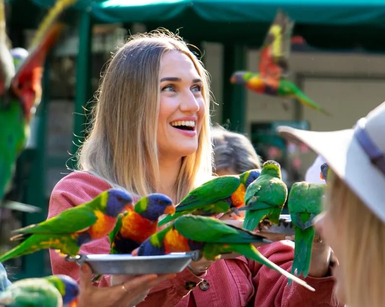 Top Animal Encounters – What to Do