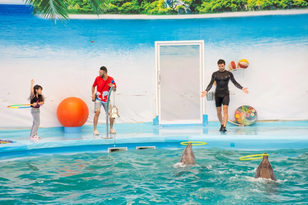 Dolphin Bay Dolphin Show Phuket