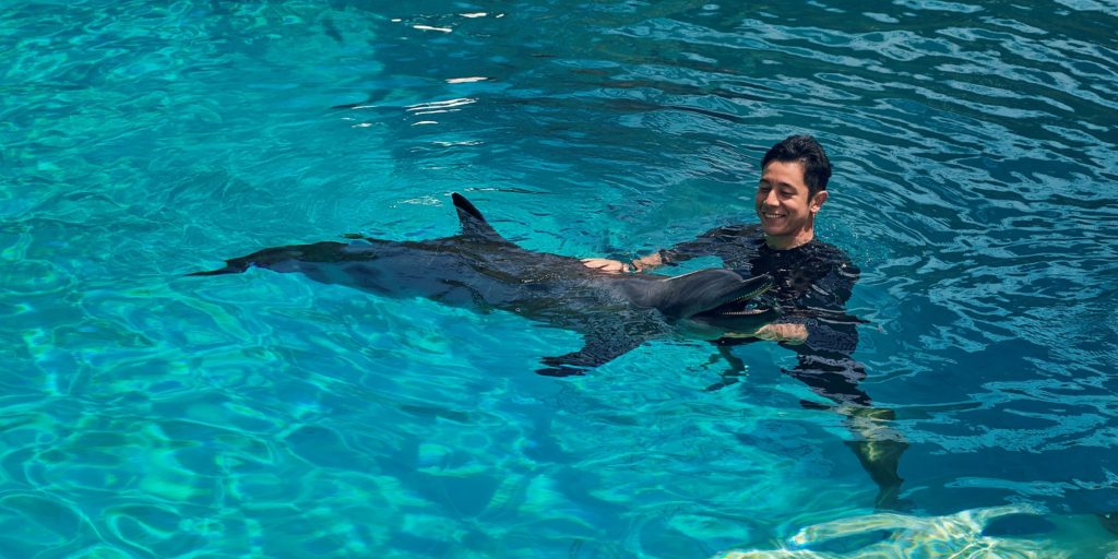 Dolphin Immersion Singapore Oceanarium