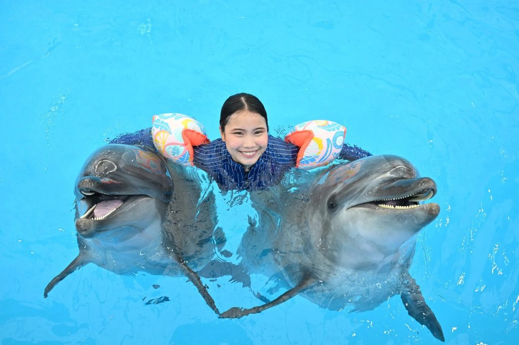 Dolphin swim Pattaya Dolphinarium