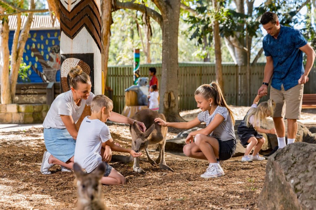 Dreamworld gold coast wildlife