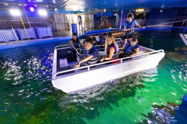 Glass Bottom Boat at SEA LIFE Melbourne