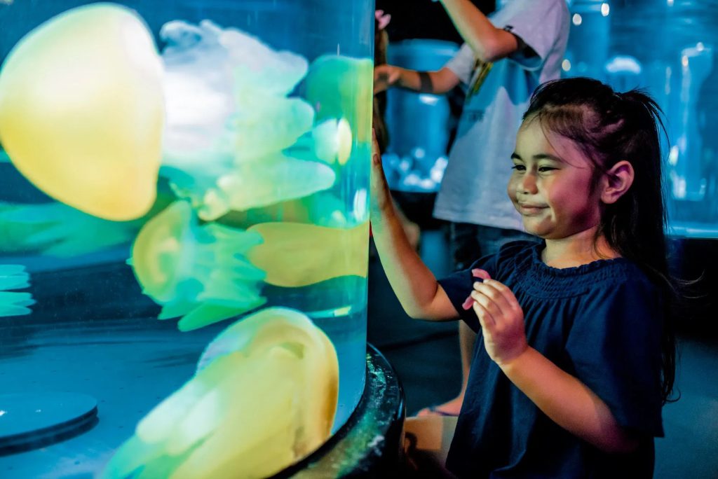 SEA LIFE Sydney for kids