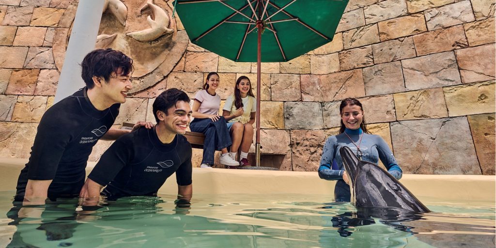 Meeting Dolphins at Singapore Oceanarium