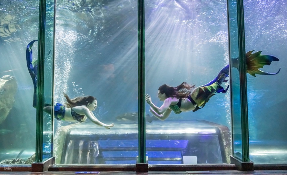 Mermaid garden oceanarium