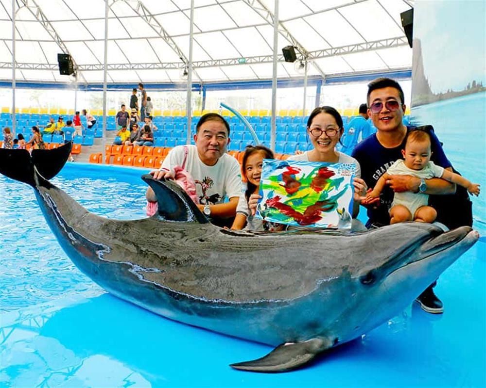 Pattaya Dolphinarium Thailand