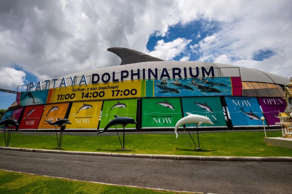 Pattaya Dolphinarium Thailand