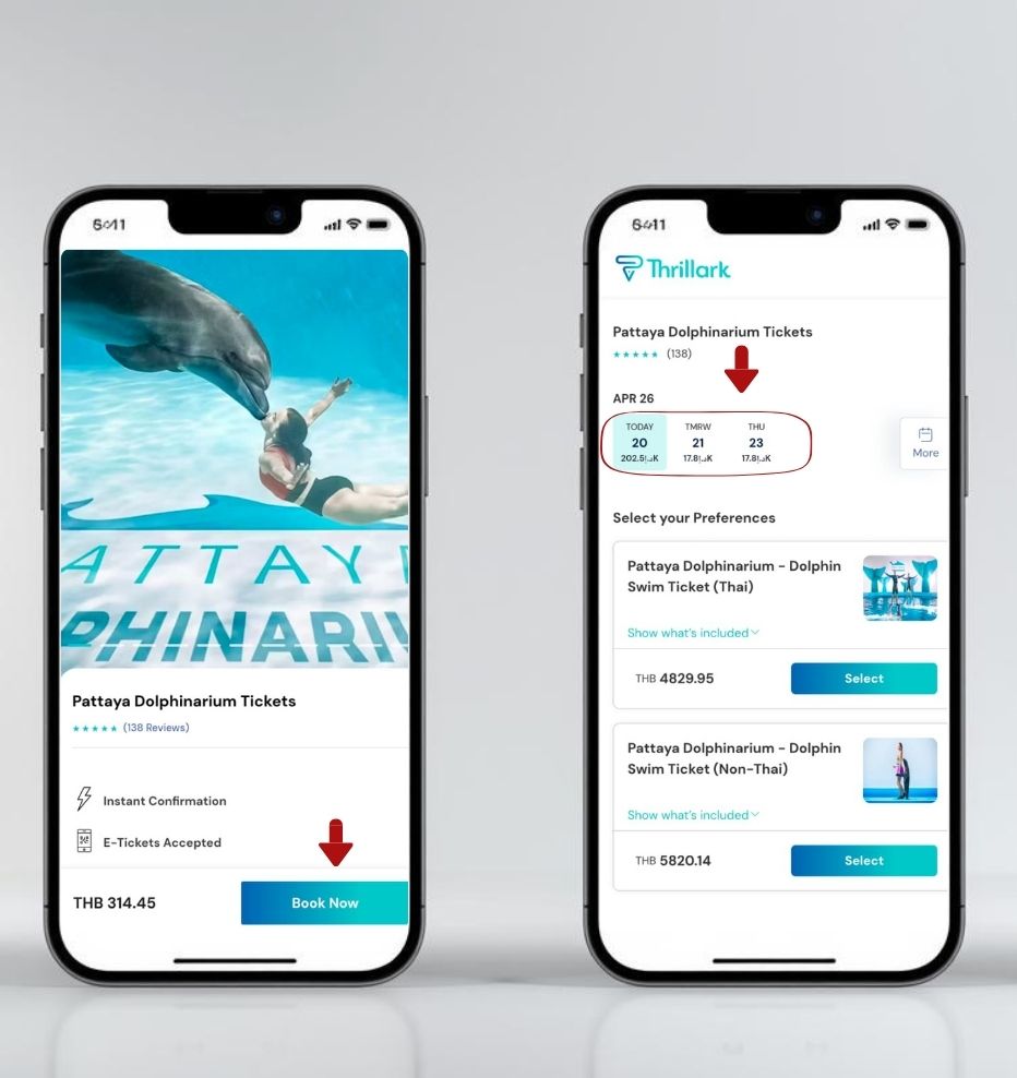 Pattaya Dolphinarium Ticket Booking Guide 1