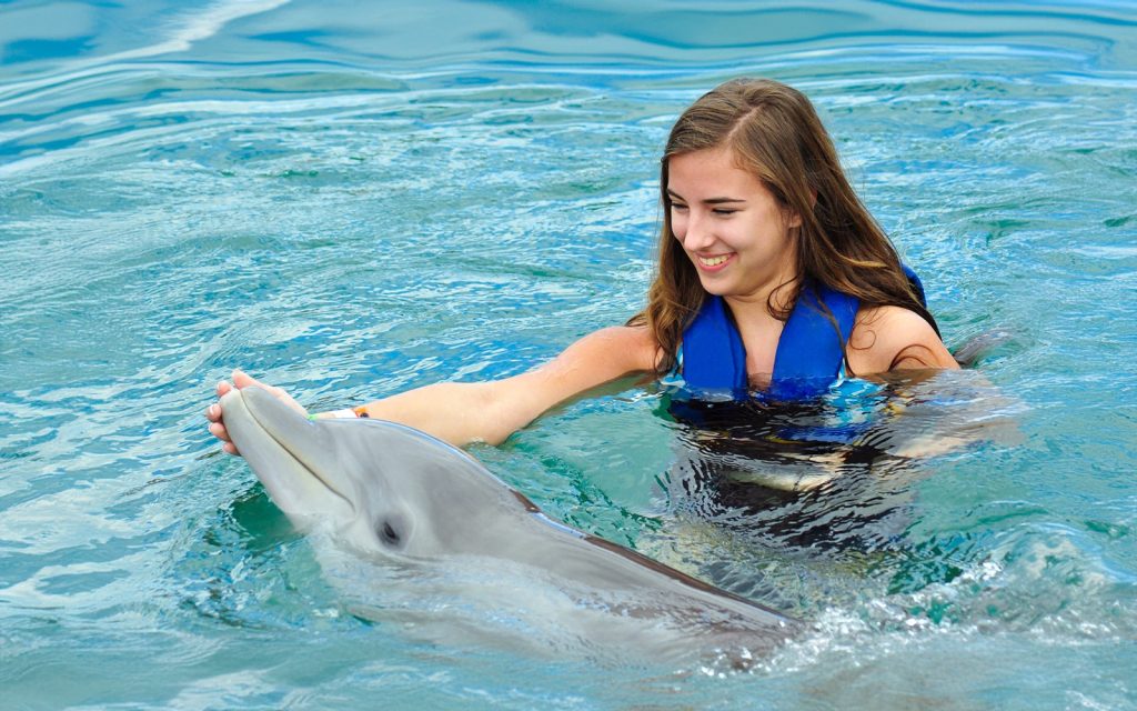 Pattaya Dolphinarium attractions