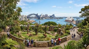 Planning Your Taronga Zoo Visit