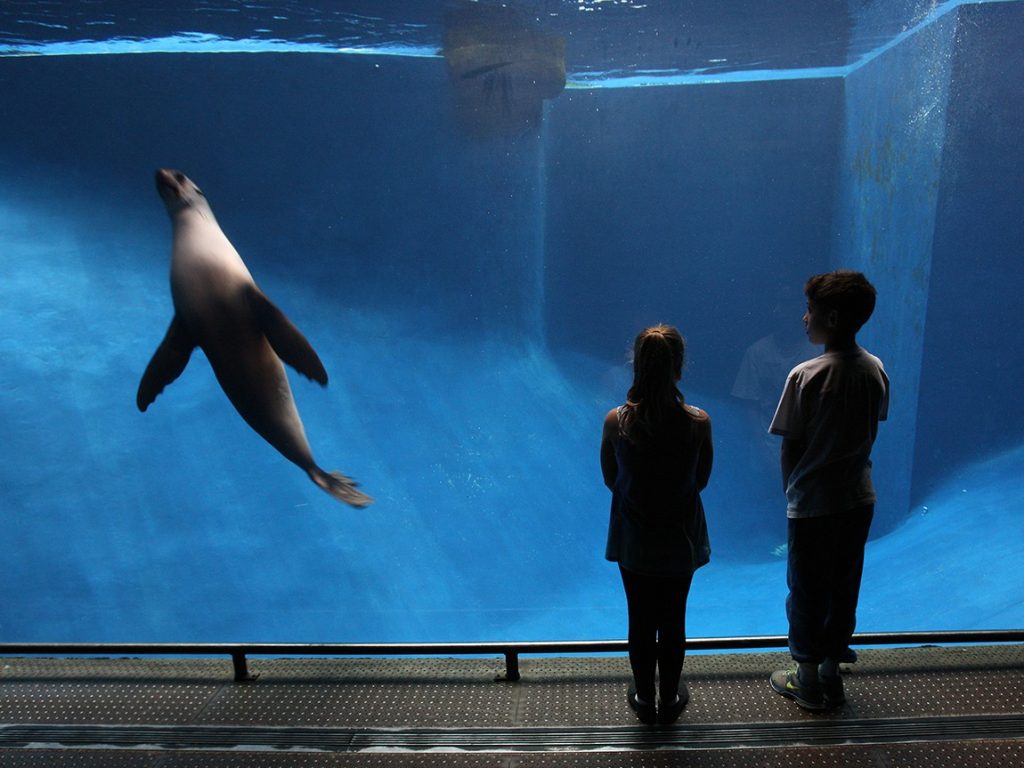 SEA LIFE Melbourne family pass