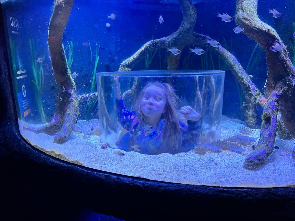 SEA LIFE Sydney Aquarium