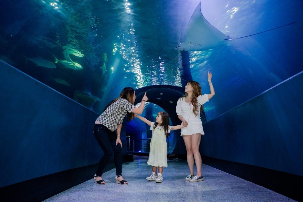 SEA LIFE Melbourne family pass