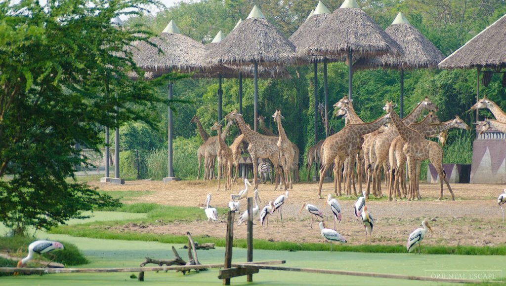 Safari World Bangkok