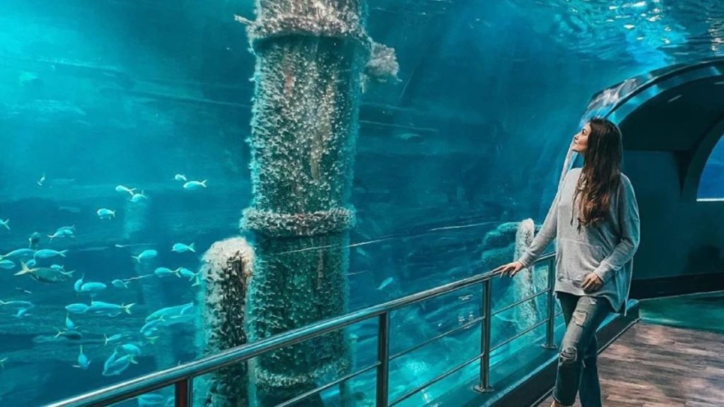 Sea Life Melbourne