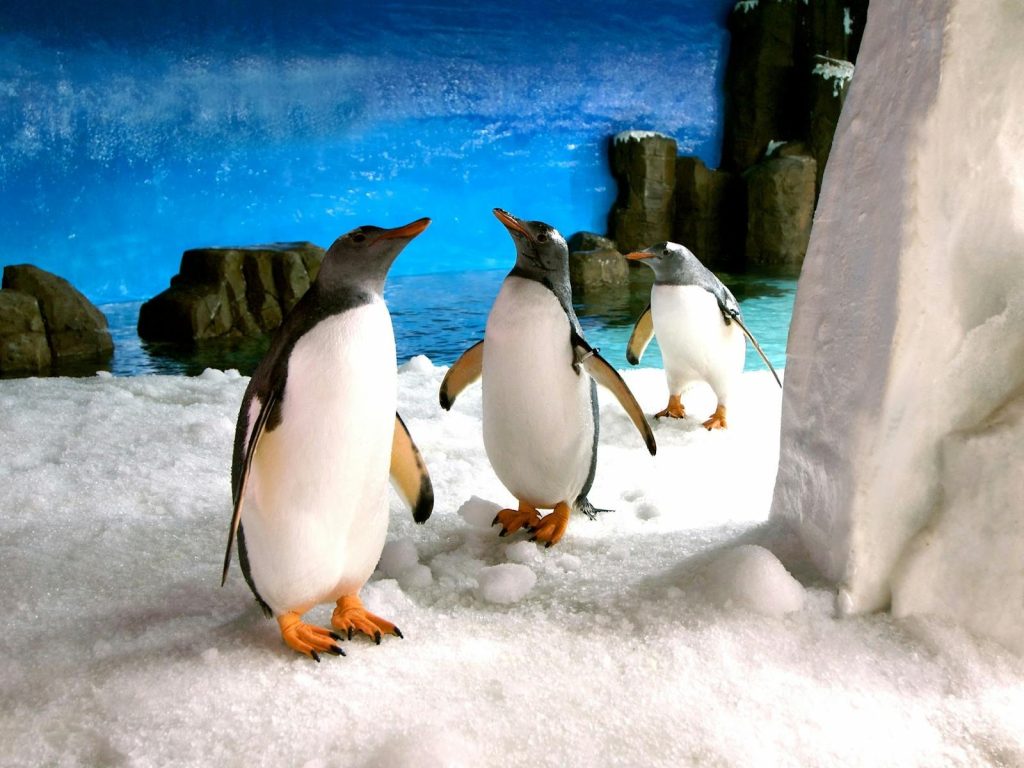 Sea Life Melbourne Aquarium