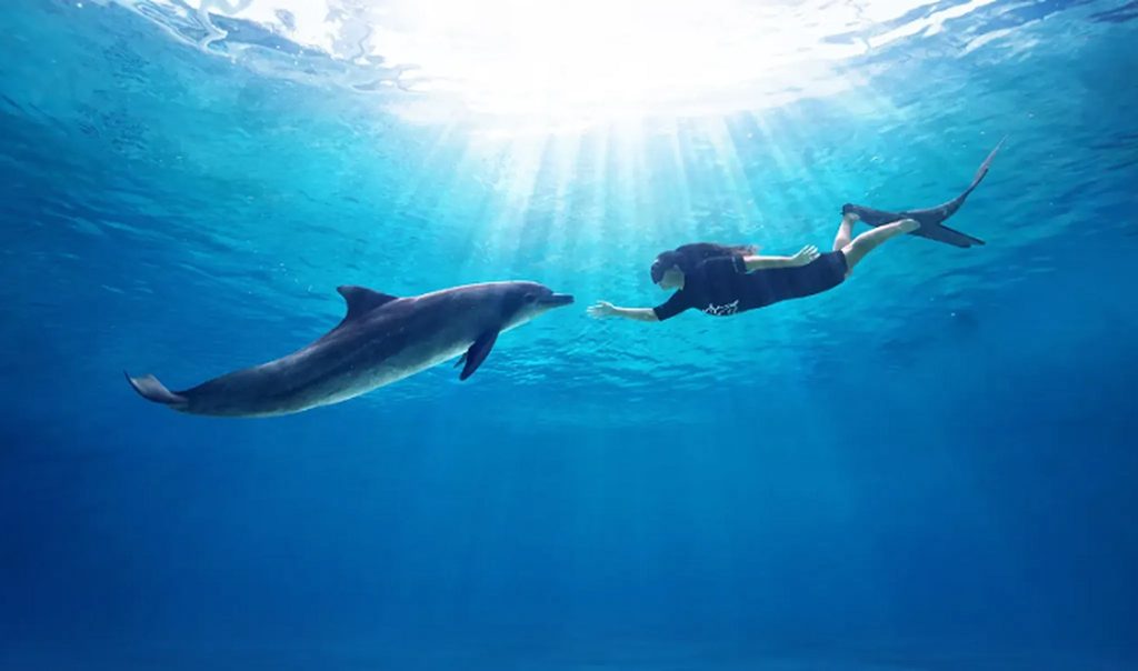 Singapore Oceanarium Connection