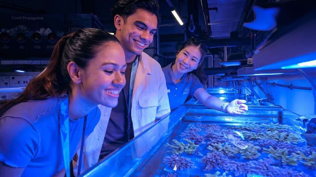 Singapore Oceanarium Feeding Sessions