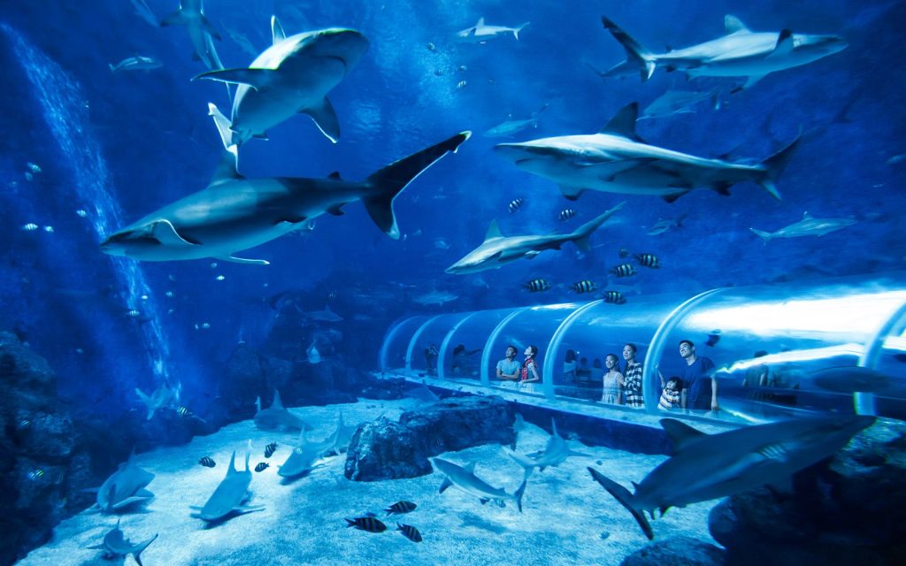 Singapore Oceanarium RWS