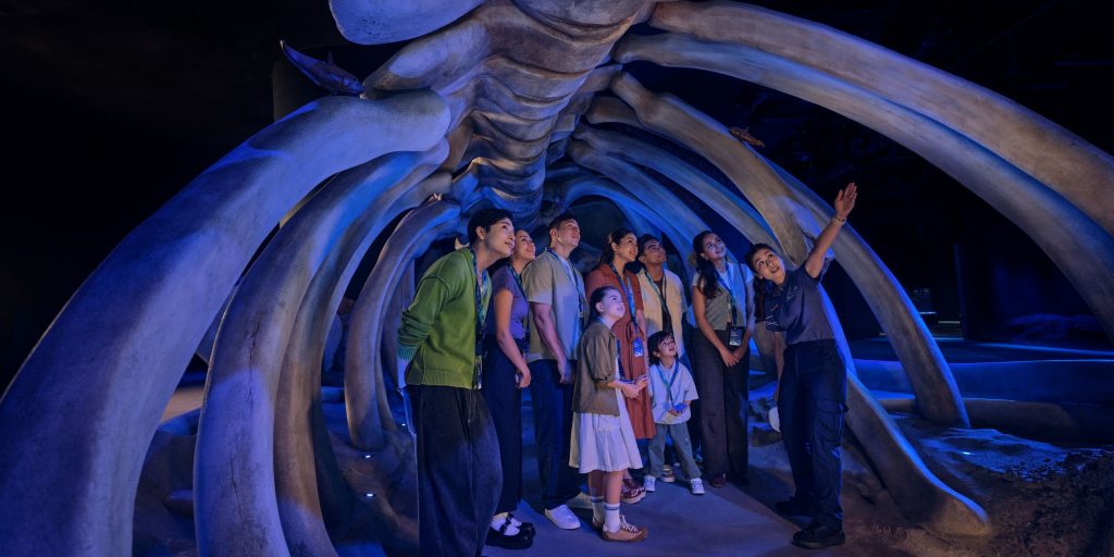 Singapore Oceanarium Tickets