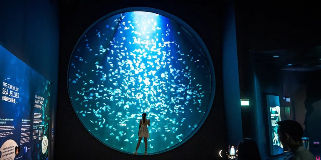 Singapore Oceanarium Zones