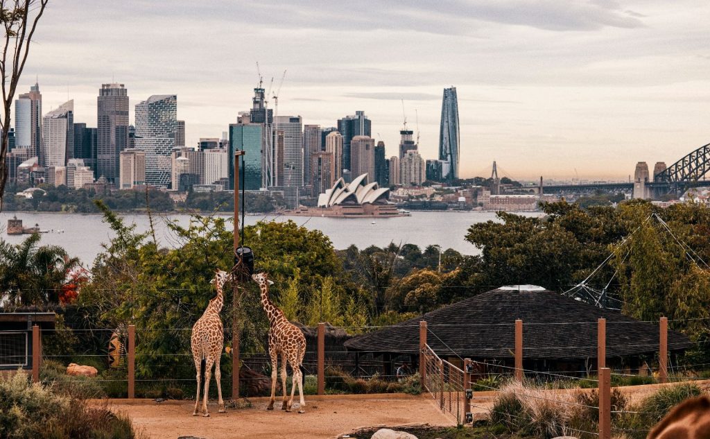 Taronga Zoo Sydney