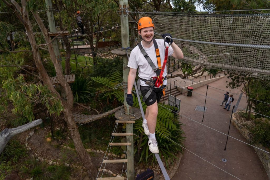 Treetop Adventure at taronga zoo