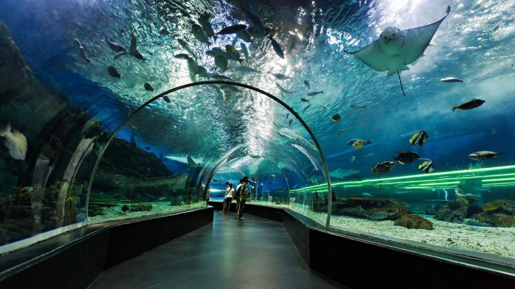 Underwater World Pattaya
