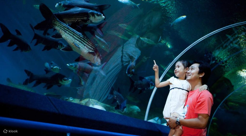 Underwater World Pattaya