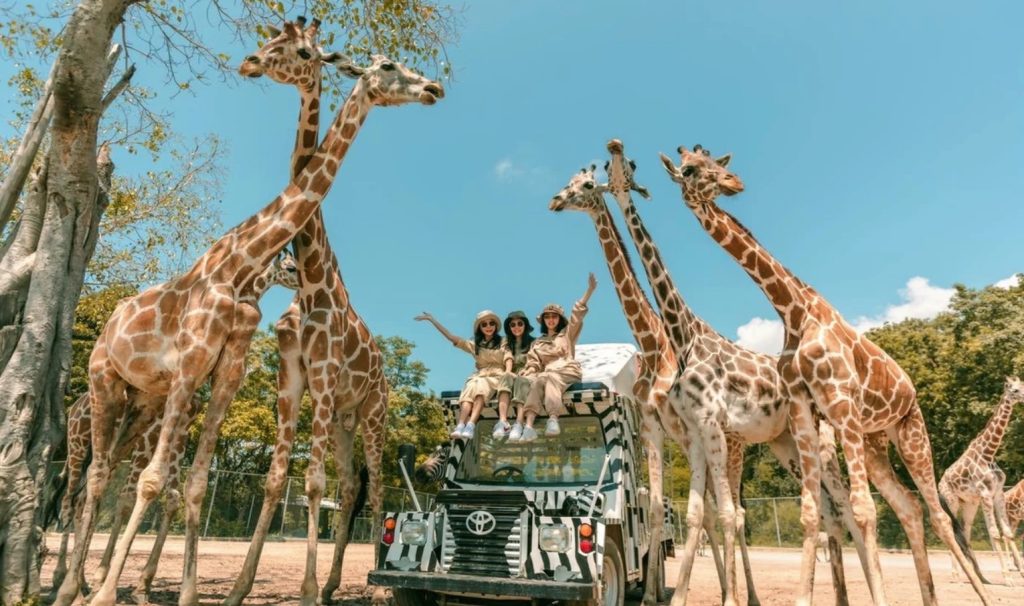 Safari park bangkok