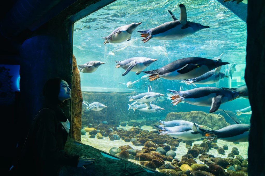 sea life sydney ticket booking guide