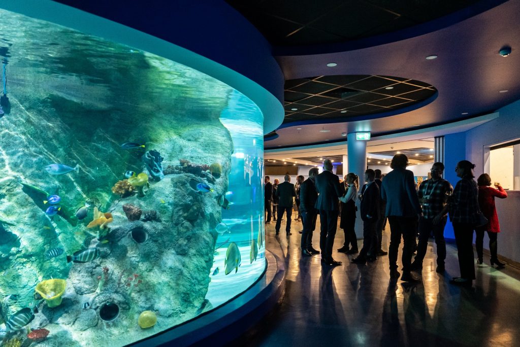 sea life melbourne tickets