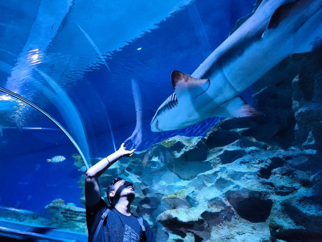 Aquaria KLCC Kuala Lumpur