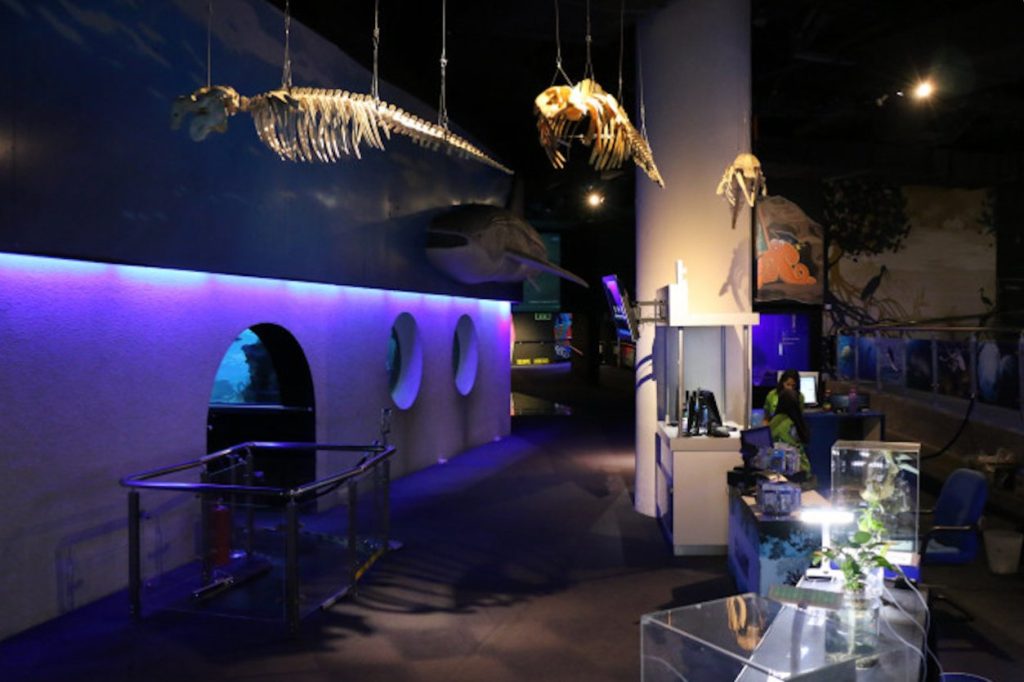Aquaria KLCC tickets