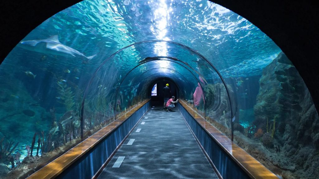 Aquaria KLCC Tickets