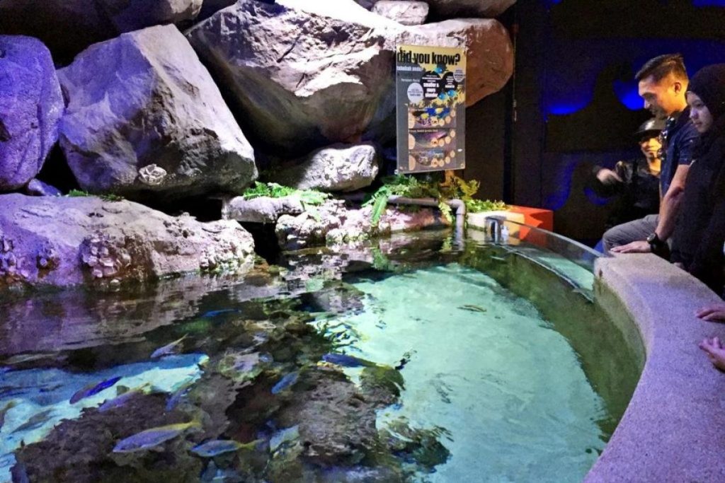 Aquaria KLCC Zones