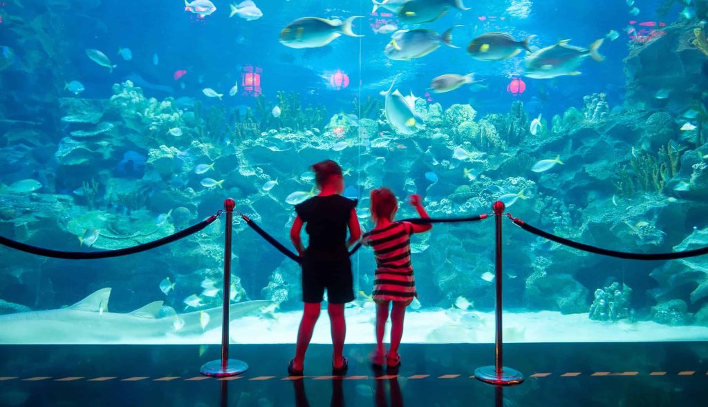 Aquaria KLCC