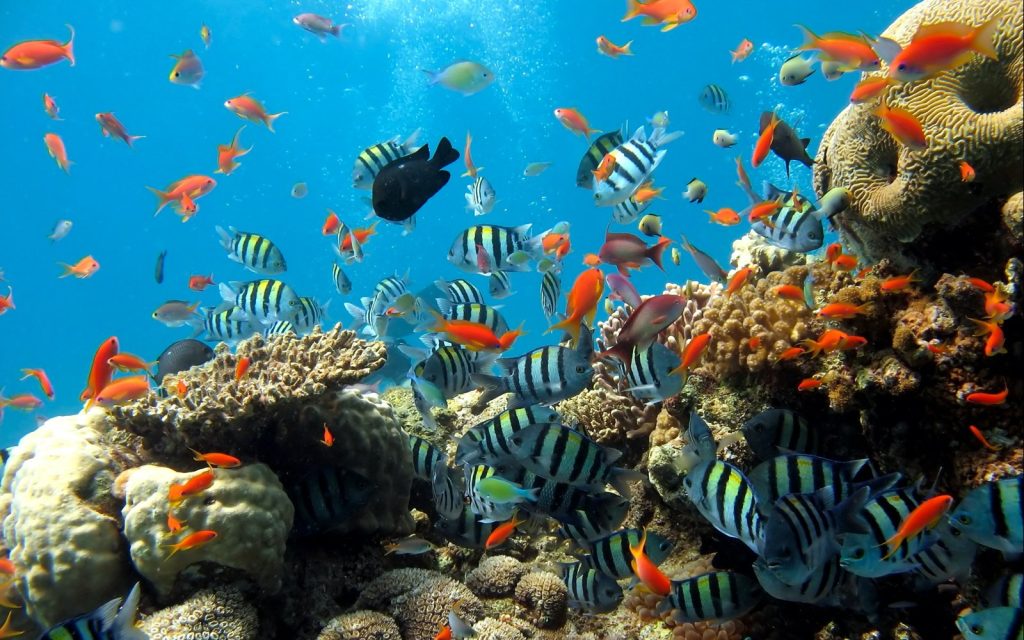 Attractions at Underwater World Pattaya