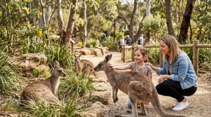 How to Book Wild Life Sydney Tickets Online