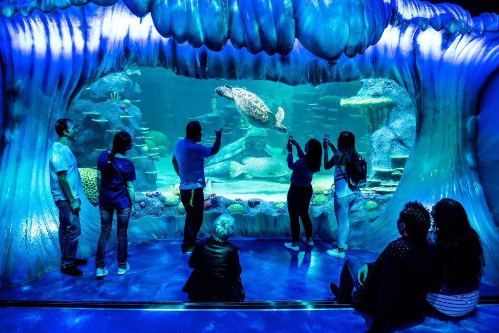 SEA LIFE Sydney Aquarium