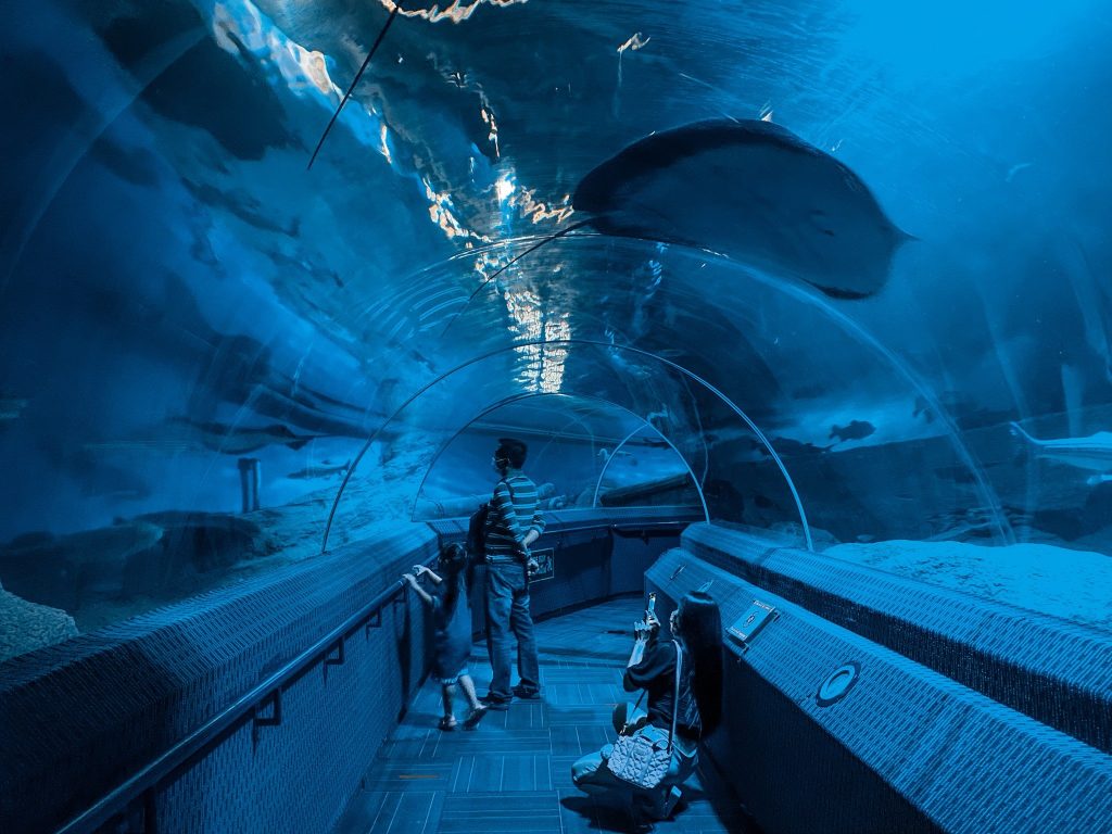 Underwater World Pattaya