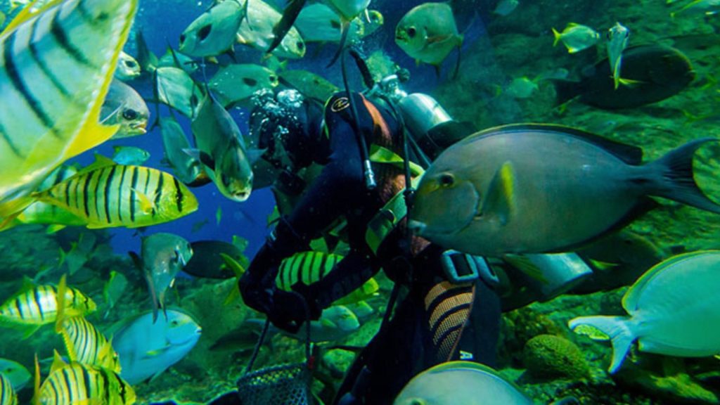 Underwater World Thrillark Tickets