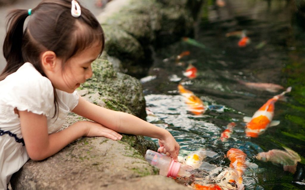 Underwater World pattaya Feeding Sessions