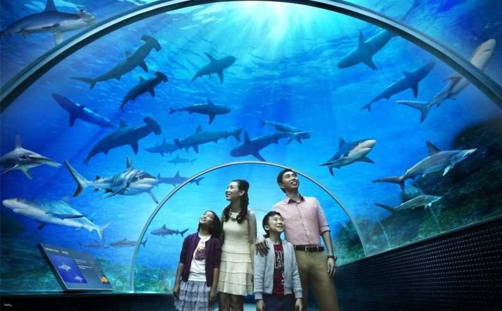 Zones at Underwater World Pattaya