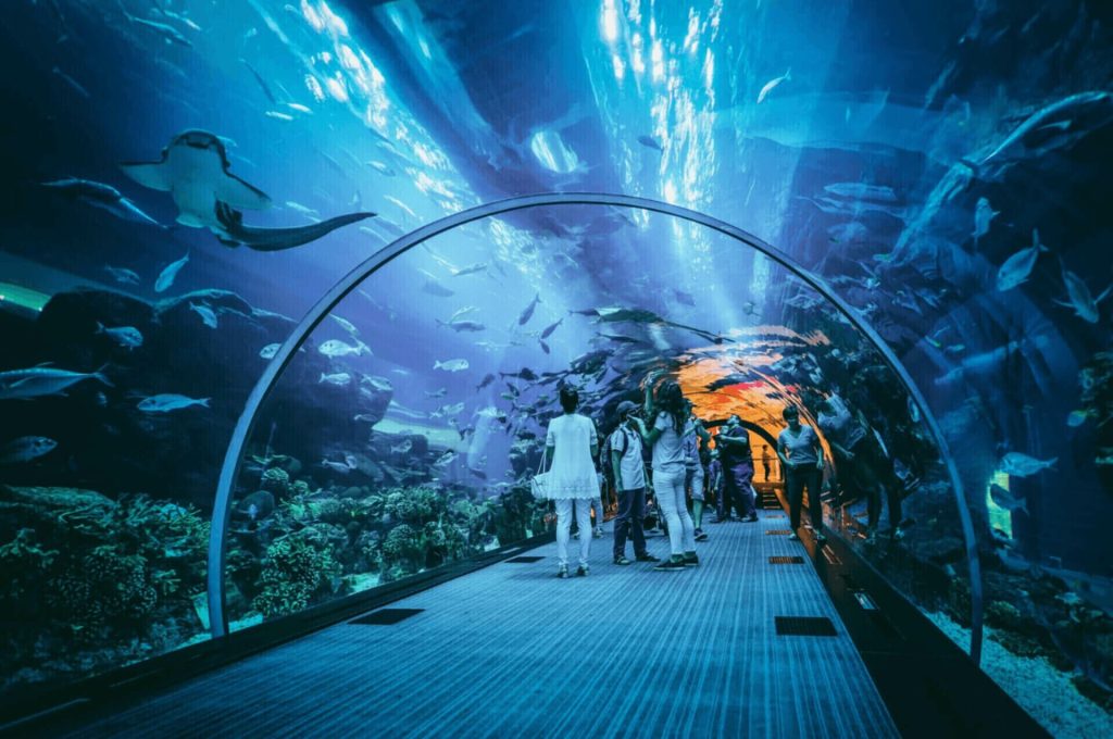 Dubai Aquarium and Underwater Zoo
