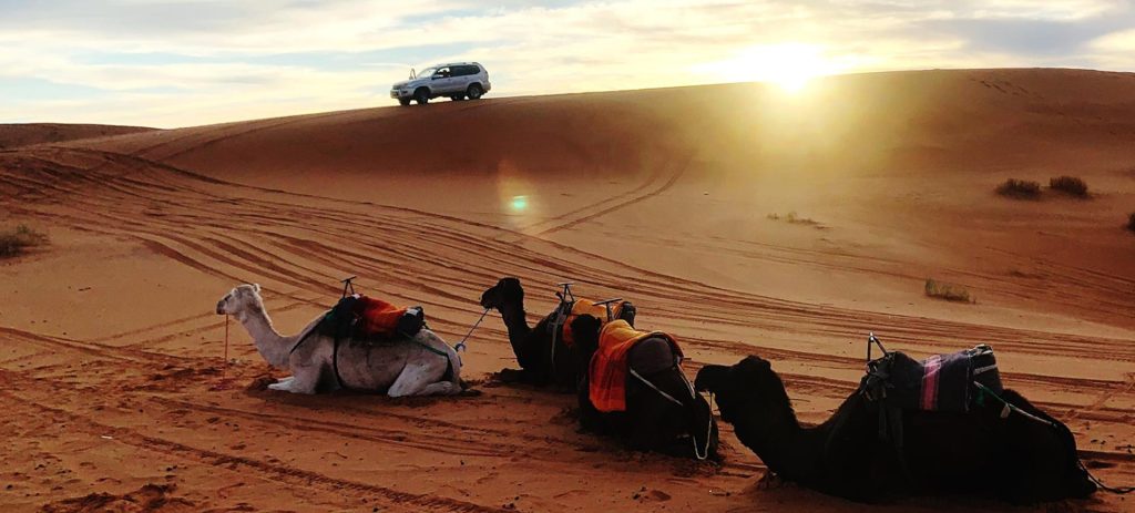 Dubai Desert Safari