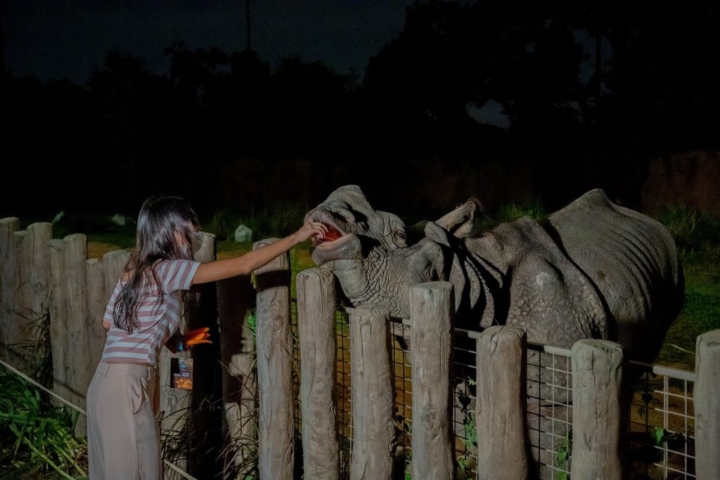 Feeding Sessions at Singapore Night Safari