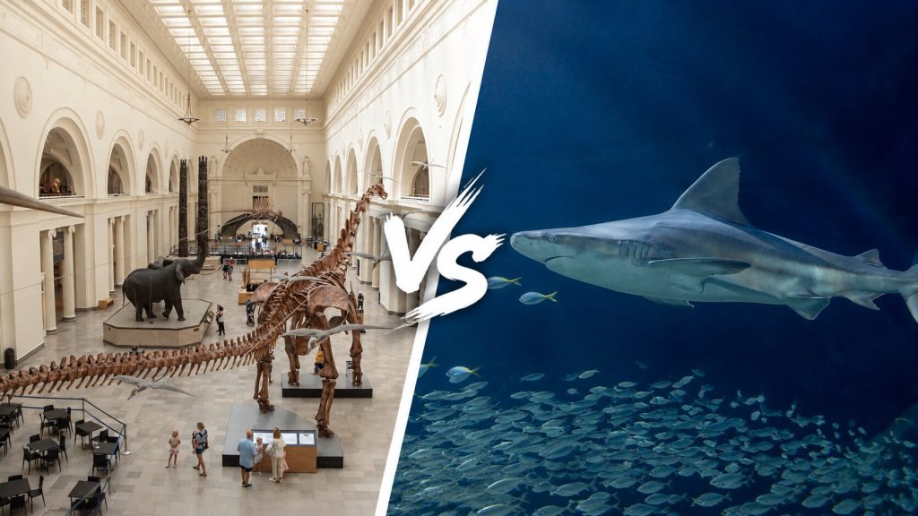 Field Museum vs Shedd Aquarium Guide