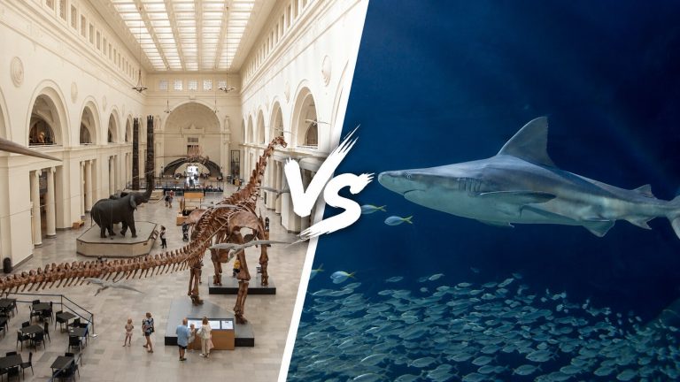 Field Museum vs Shedd Aquarium Guide