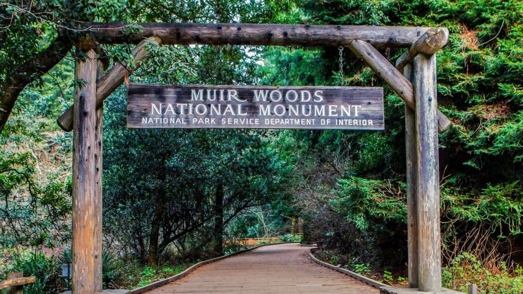 Muir Woods